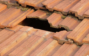 roof repair Leigham, Devon