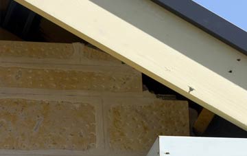 soffit repair Leigham